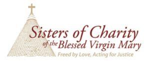 bvmlogo_top